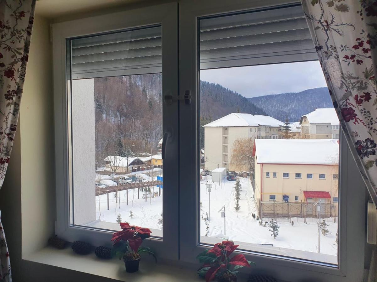 Studio 41 Azuga Kültér fotó