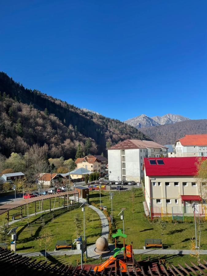 Studio 41 Azuga Kültér fotó